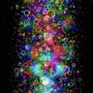 Meet your Posher, Marley